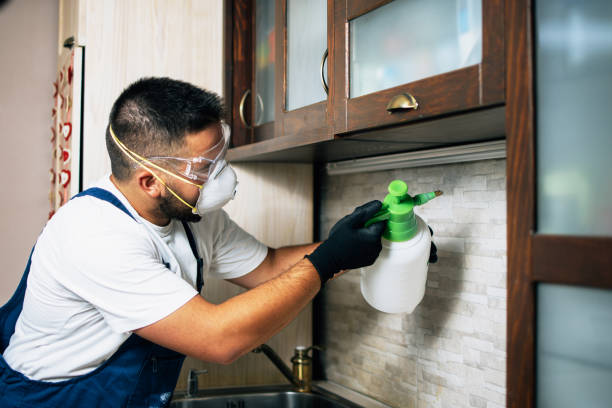 Pest Control for Restaurants in Firestone, CO
