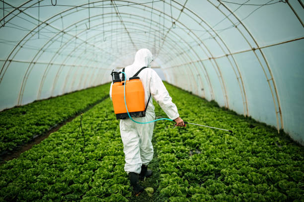 Best Local Pest Control Services  in Firestone, CO