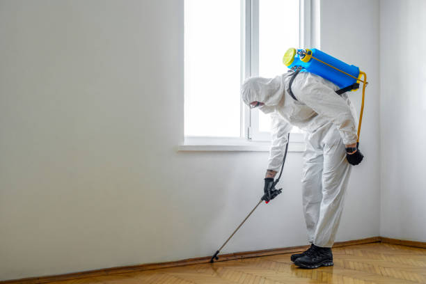 Best Pest Prevention Services  in Firestone, CO